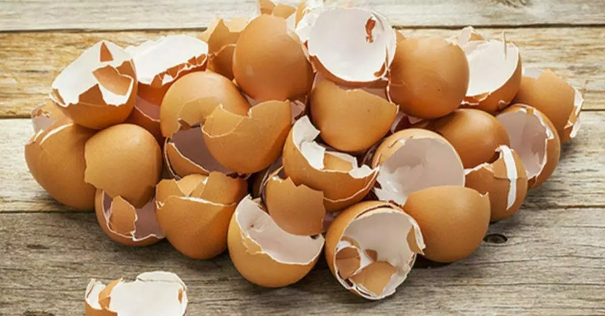 Leia mais sobre o artigo Casca de ovo reaproveitar sem desperdício
