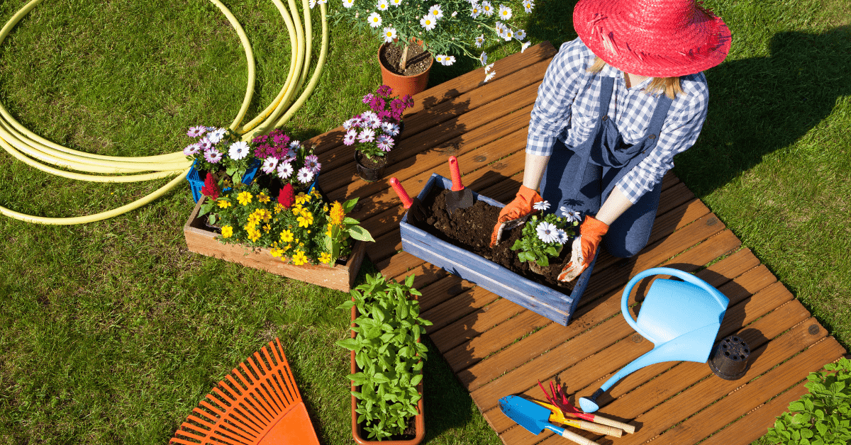 Leia mais sobre o artigo Cuide do seu jardim como um verdadeiro profissional