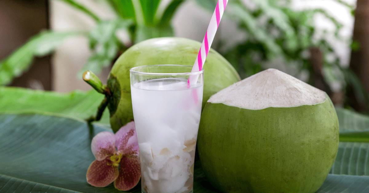 Leia mais sobre o artigo Drink com Água de Coco, Benefícios e 7 Deliciosas Receitas!