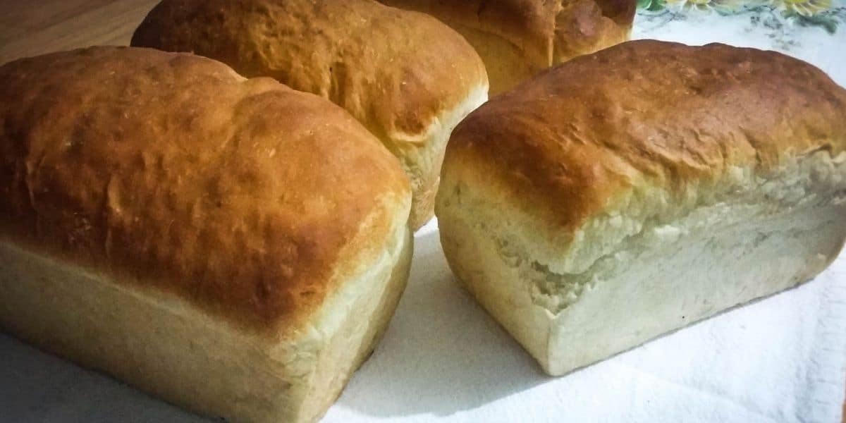 Leia mais sobre o artigo Pão integral caseiro receita fácil de preparar o pão fica macio e fofinho
