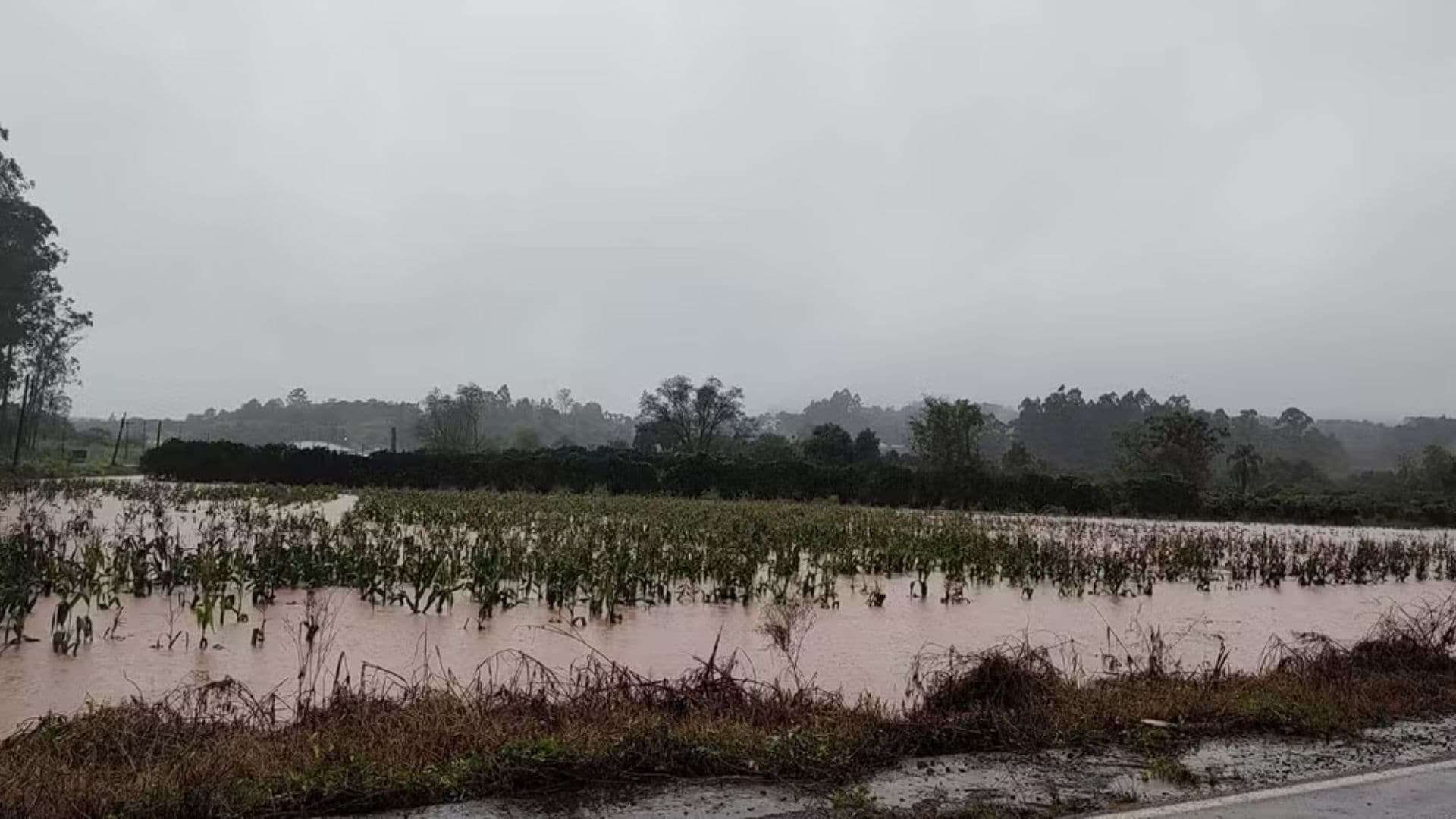 Você está visualizando atualmente Enchentes no Rio Grande do Sul podem afetar preços de alimentos