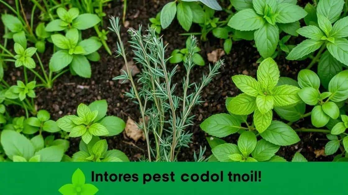 Como usar ervas para controle natural de pragas