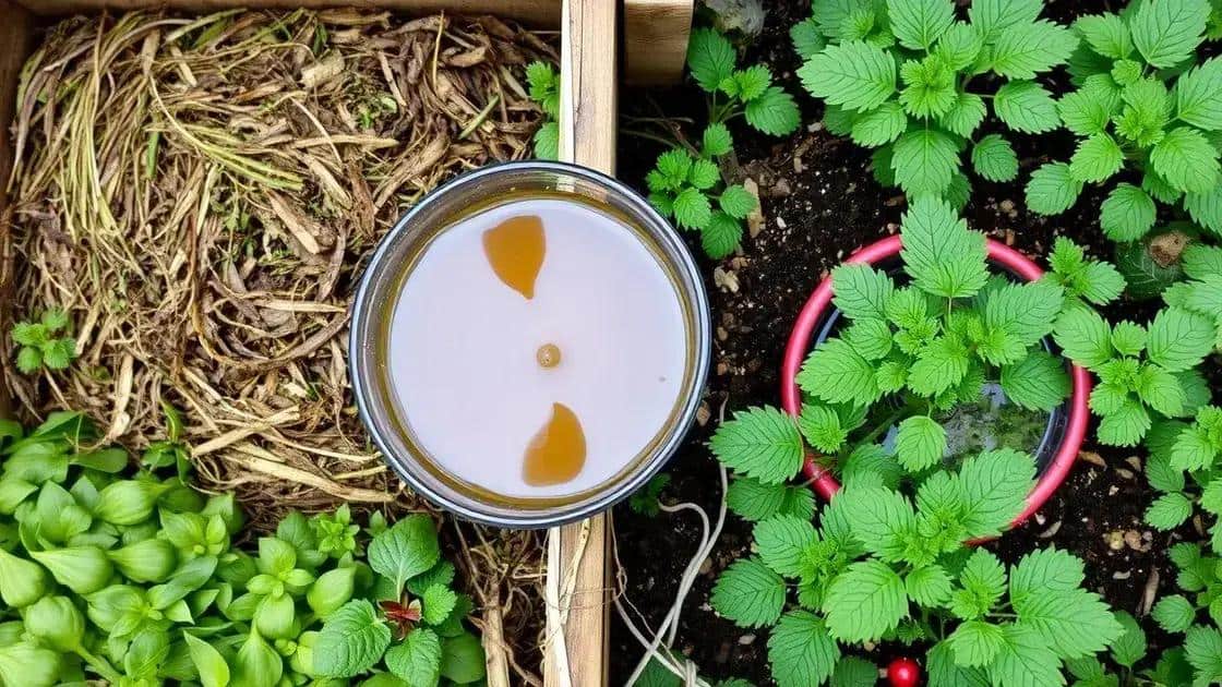 Receitas de adubo natural com ervas